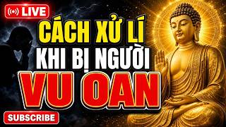 Khi Bị Người Vu Oan Giá Họa, Làm 3 Điều Này Để Tâm An | Thầy Thích Pháp Hòa