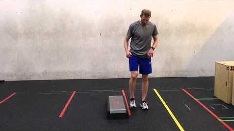 Single Leg Lateral Jump and Stick (step)
