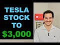 WHY TESLA STOCK IS GOING TO $3,000