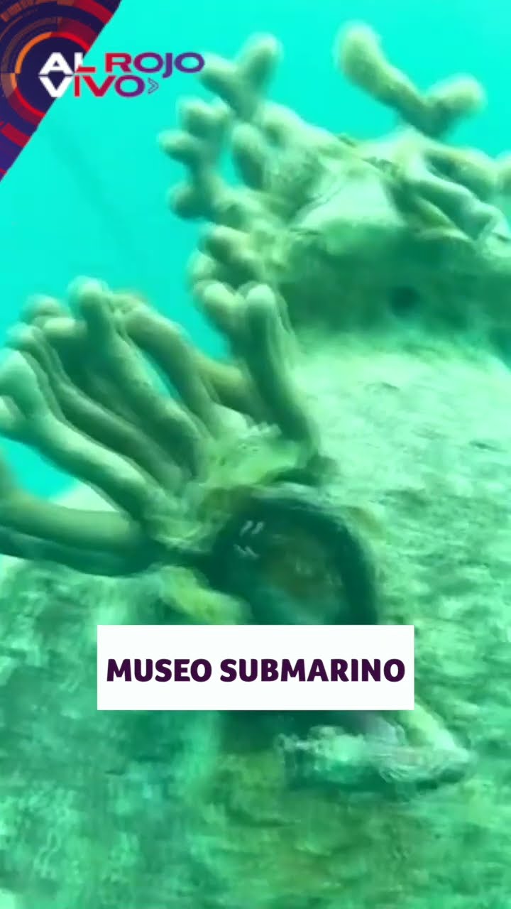 Museo Submarino busca promover la restauración del coral | ARV