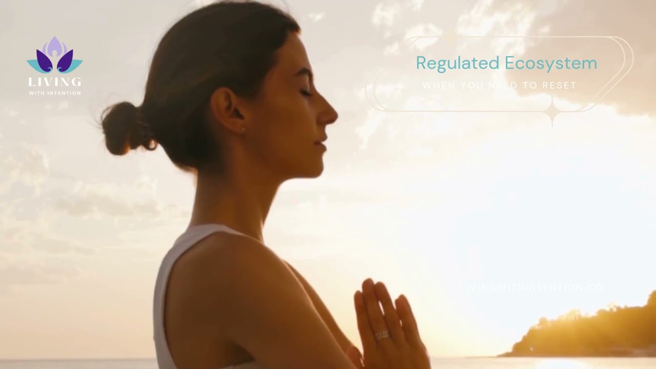Regulated Ecosystem: A Guided Meditation When You Need To Reset