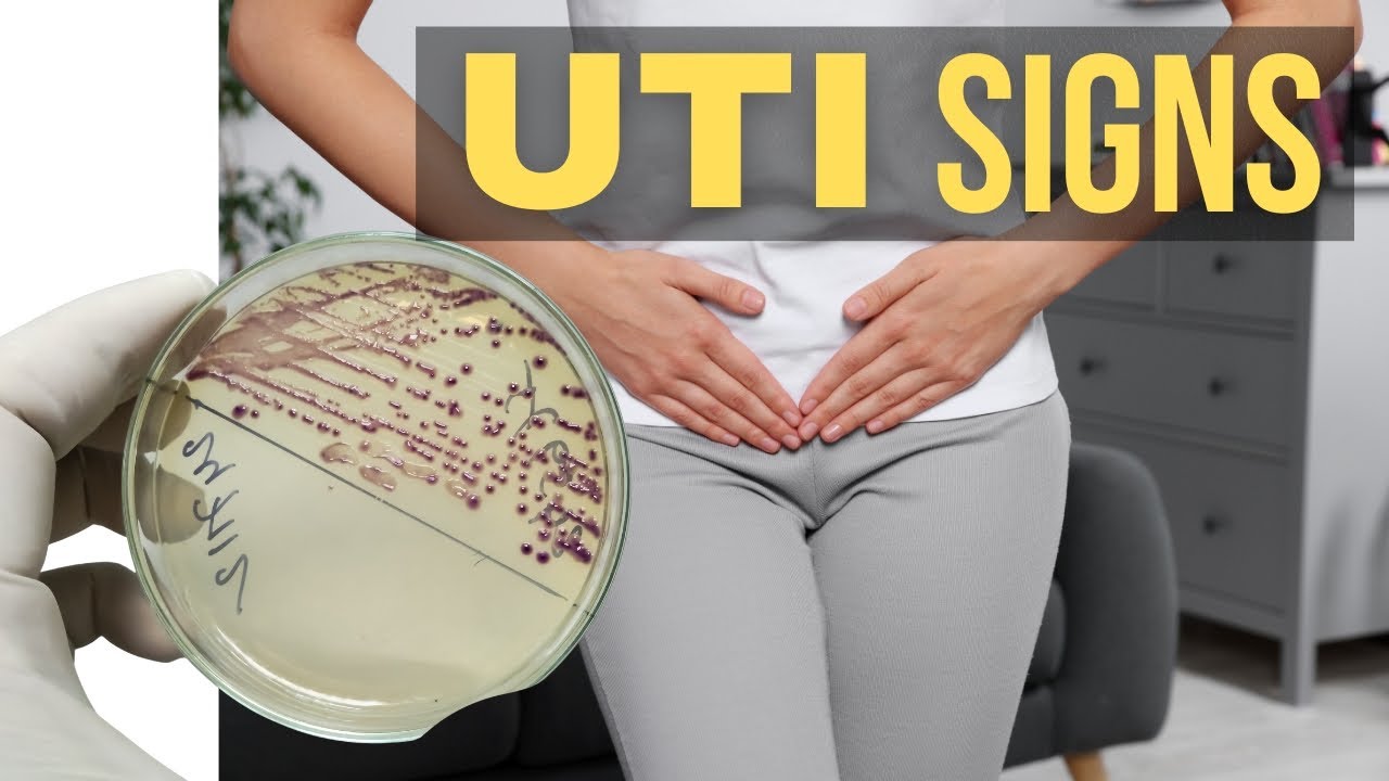 UTI Symptoms Urinary Tract Infection Symptoms 5 Common Signs Of UTI UTI Symptoms Urinary Tract Infection Symptoms 5 Common Signs Of UTI