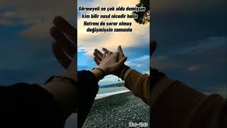 Murat Dalkılıç - Bir Hayli