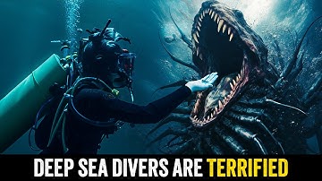 Deep Sea Divers Are Seeing Things They Cant Explain