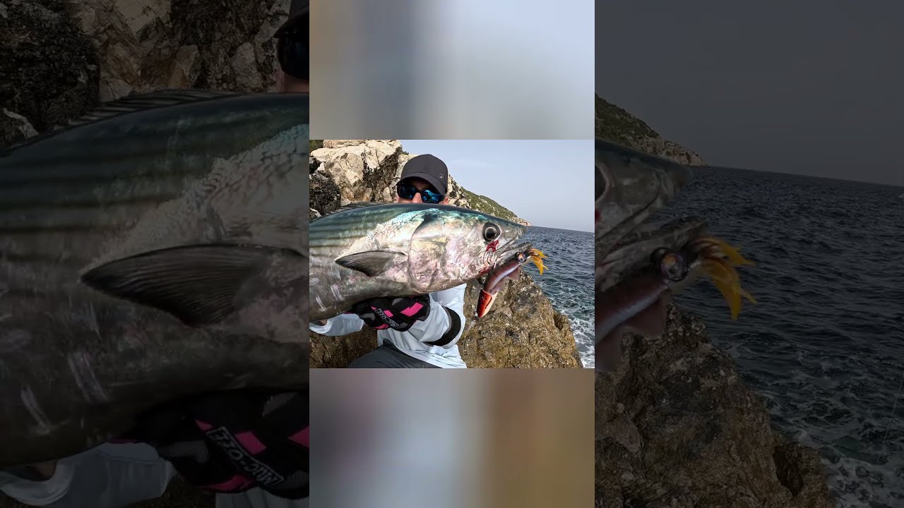 #shorejigging #Ψάρεμα #fishing #fish #epiccatch #bonito #tuna #biggamefishing #bigfish