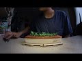 Fingerboard session