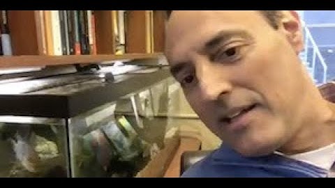 Applied Linear Algebra:  Implementing Tensor Decompositions