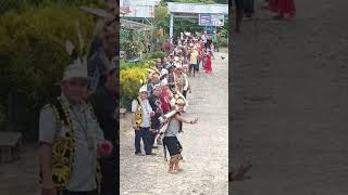 dayak Kenyah #shorts #bahauhulu #dayakkenyah #longalango