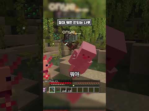 마인크래프트에서 절대 캐면 안 되는 저주받은 나무 ㄷㄷ