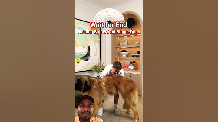 Holding Bigger And Bigger Dogs #mrbeast #viralvideo #shorts #desivaiofficial
