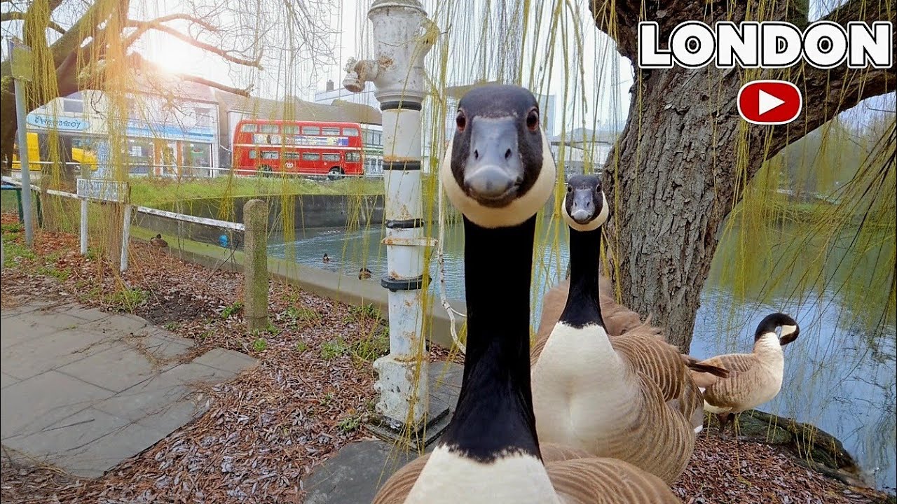 IS THIS EVEN LONDON? Beyond the Big Ben 