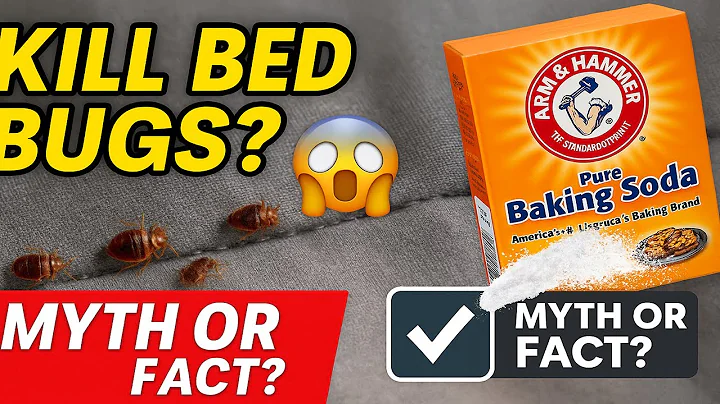 How to Kill Bed Bugs Using Baking Soda | The Guardians Choice