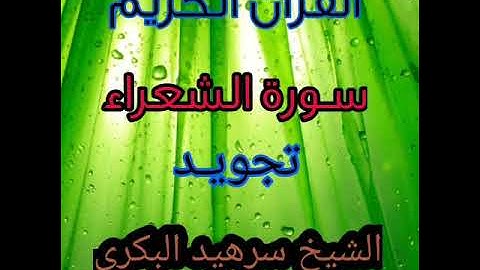 تلاوة في سورة الشعراء للشيخ سرهيد البكري