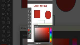 How to use lasso tool in illustrator