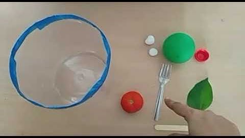 Float & Sink video for kindergarten