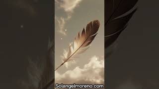 the spiritual meaning behind finding brown and white feathers  #message #god #features #white #brown