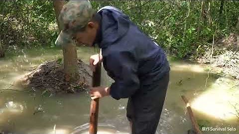 FULL Survival Guide from an 18 Year Old Girl – 50 Days in the Forest with Ultimate Homemade Tools