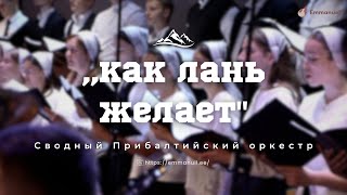 ,,Как лань желает" | Сводный Прибалтийский оркестр