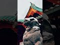 【東京でこの景色】雪の神社が別世界すぎた