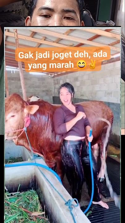 SOBAT NGARIT #masiyun #fauzanaterbaru #sobatngaret #deliwafa #gungayu #fauzana