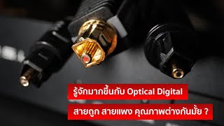 [รู้ไว้ใช่ว่าฯ] รู้จักมากขึ้นกับ Optical Digital, สายถูก สายแพง คุณภาพต่างกันมั้ย ?