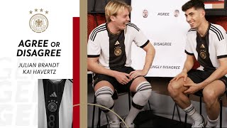 Monte oder Eli: Wessen Streams sind besser? 👀 | Brandt & Havertz in Agree or Disagree