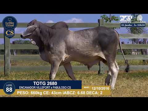 LOTE 88