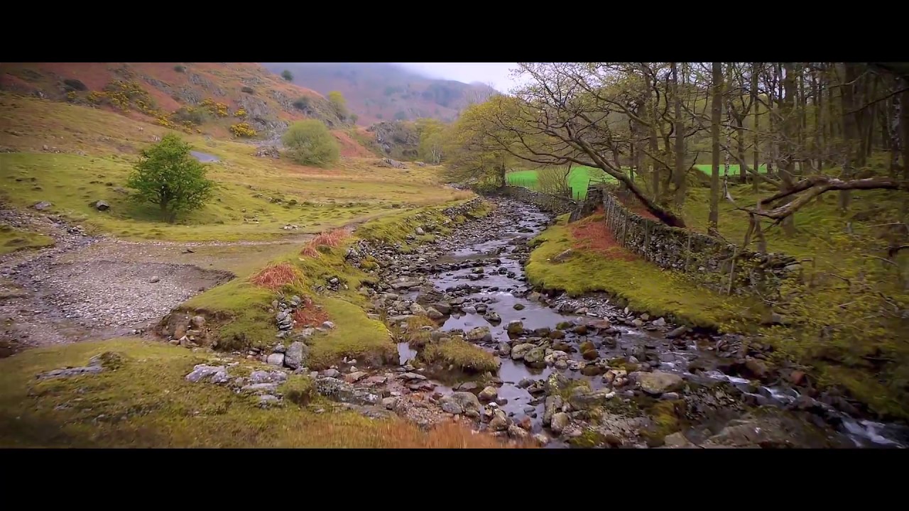 suzuki atv service near me