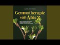 Kapitel 134 - Gemmotherapie von A bis Z: Mit der Heilkraft der Knospen Schritt für Schritt zu...