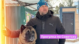 Прогулка по Советску