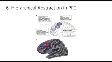9.6. Hierarchical Abstraction in PFC, Fundamentals of Cognitive Neuroscience Course, Session 9, P6