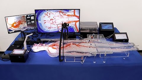 Operation Video for Endovascular Intervention Trainer System