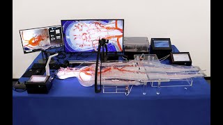 Operation Video For Endovascular Intervention Trainer System