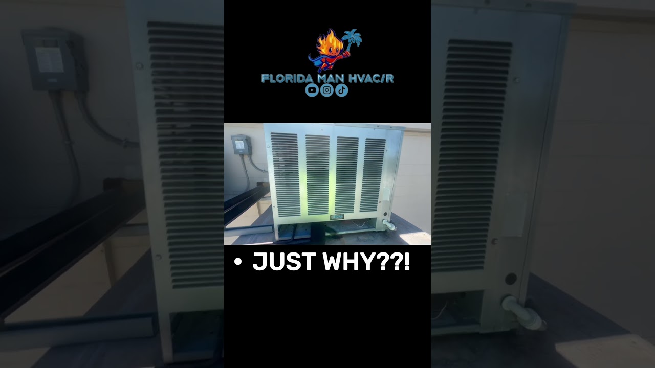 WHATCHA DOING UP THERE??? 