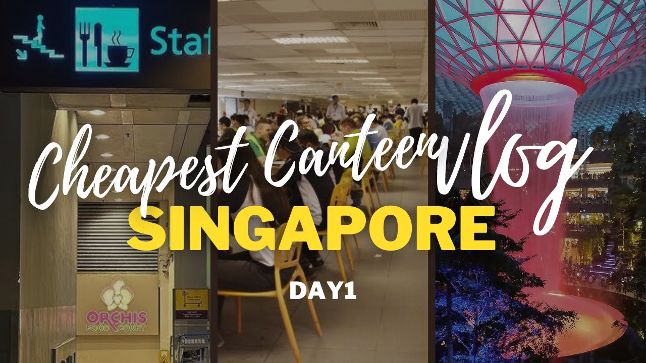 Uncovering Changi Airport's Hidden Gem: The Secret, Budget-Friendly ...