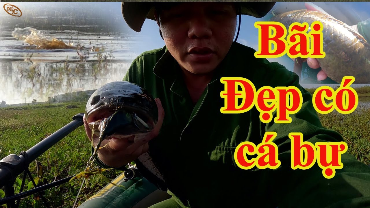 Hành trình săn cá lóc hugo tập 56