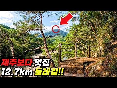 1만 원대 기차표로 떠날 수 있는 '제주보다 멋진' 둘레길! 저는 매년 갑니다😍 | 당일치기 대중교통 걷는 여행