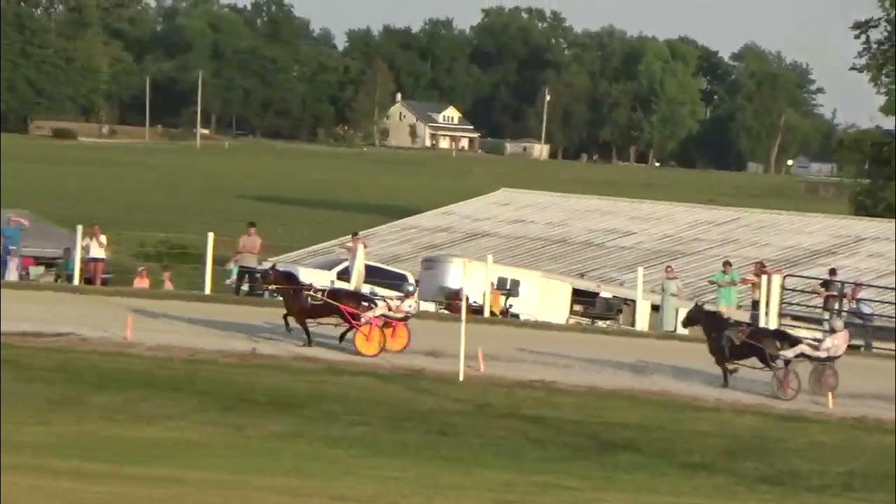 Nappanee Raceway June 24th, 2023, FFA Pace MI's WherestheParty wins in