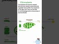 Plastids and it's types / Chloroplast / Leucoplast and it's types