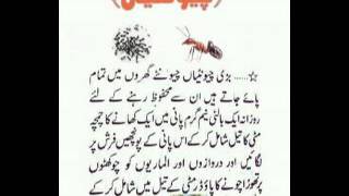 Khatmal Bhagane Ka Totka In Urdu Khatmal Bhagane Ka Totka Khatmal Se Nijat