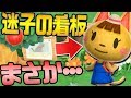 【あつ森】海外で話題の謎の看板･･･迷子の猫ってもしや･･･【あつまれどうぶつの森】