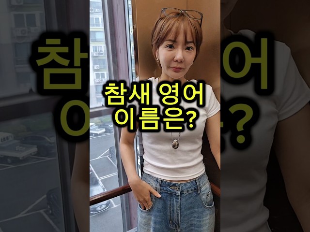 참새 영어 이름은? #웃긴영상 #유머  #재밌는영상 #넌센스퀴즈 #아재개그