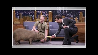 Robert Irwin \& Jimmy Fallon Feed Pygmy Goats Named After the Cast of ‘Friends’ – Watch Now!