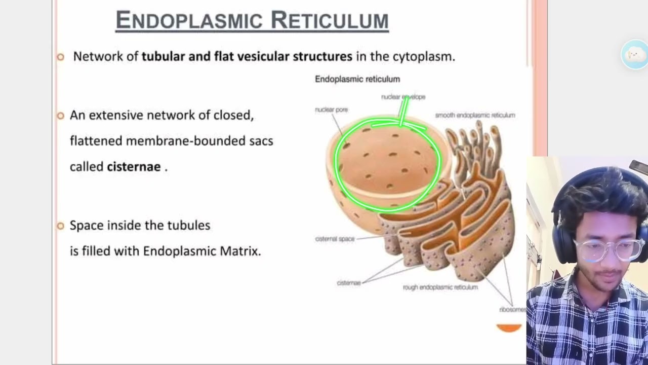 Cell physiology Part - 2 For all bpt, Mbbs, Nursing, Medical students 