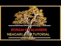 🌳🌳COMO HACER ARBOL BONSAI DE ALAMBRE (ANAGARI) PASO A PASO DIY