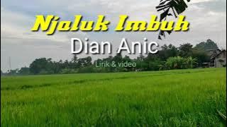 Njaluk Imbuh - Dian Anic ( lirik & video cover)