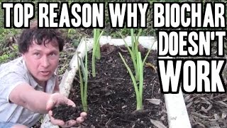 Top Reason Why Biochar Doesn