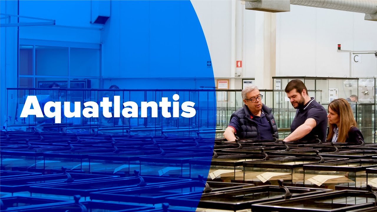 AQUATLANTIS, A BRAND FOR EVERYONE | VIDEO YouTube INSTITUTIONAL 