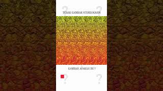 TEBAK GAMBAR STEREOGRAM #shorts