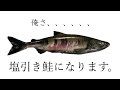 ばあちゃん直伝！！！新潟県村上市の伝統料理『塩引き鮭』の作り方